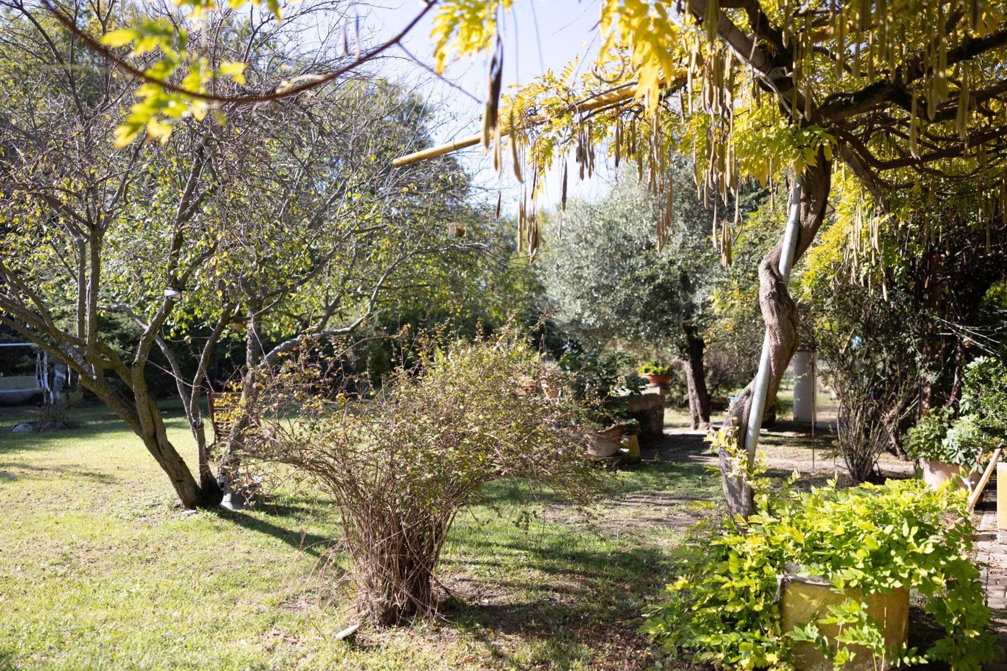 Locanda Acetaia Malagoli Daniele Castelfranco Emilia Eksteriør bilde